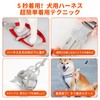 Pokmill Dog Harness 6.6 ft (2 m) Lead Set for