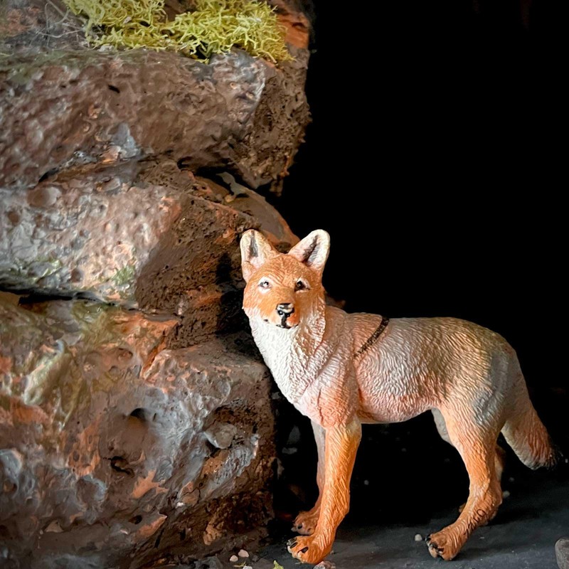 Safari Ltd. Coyote Figurine - Lifelike 3.75" Model Figure -