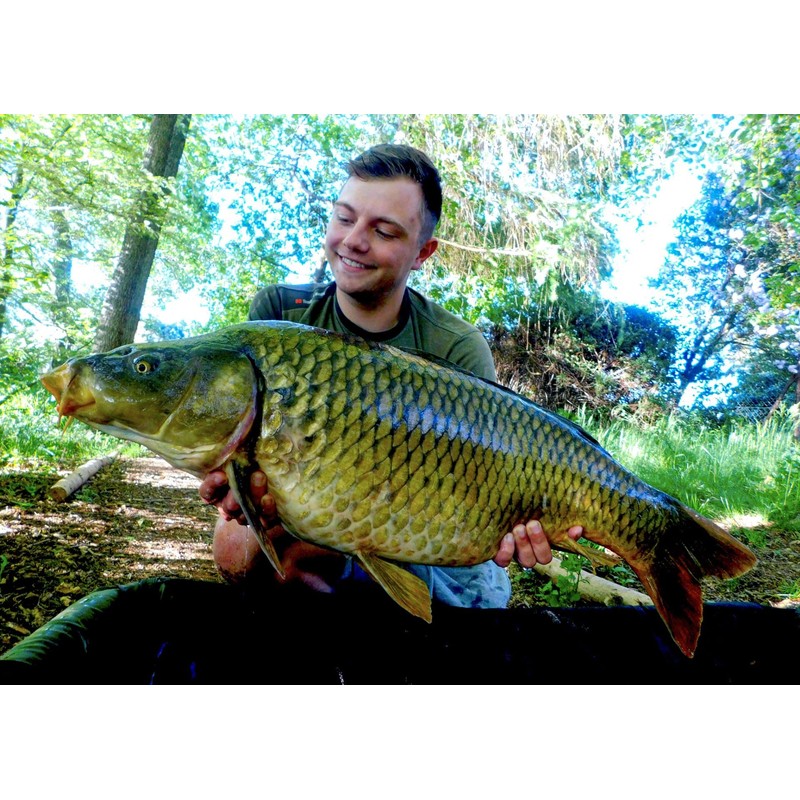 Tandem Baits 2 Pack PVA Tunnel Perforated Mesh PVA Bags