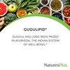 NaturesPlus Herbal Actives Gugulipid - 30 Extended-Release Tablets - Ayurvedic
