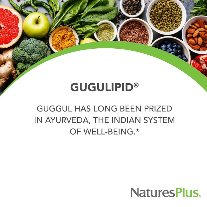 NaturesPlus Herbal Actives Gugulipid - 30 Extended-Release Tablets - Ayurvedic