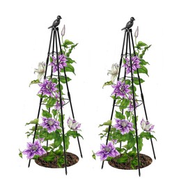 Trellis for Climbing Plants Outdoor, 2 Pack Plant Trellis Support for Climbing Vine, 63" Plant Support Tower Cages Plastic Coated Metal Pipe Supports for Outdoor Indoor, Potted Plants, Tomato cage