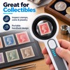 60X LED Magnifying Glass with UV Light, USB-C Rechargeable Handheld