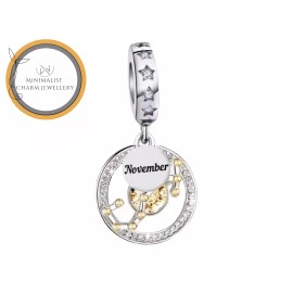 Minimalist Charm Jewelry November Birthstone Charm, Birthstone Charm, Silver Charm, Women Gift Charm