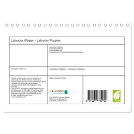 Labrador Welpen - Labrador Puppies (Tischkalender 2026 DIN A5 quer), CALVENDO Monatskalender: niedliche Labrador Welpen im Studio (CALVENDO Tiere)