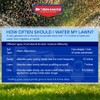 BioAdvanced Weed Killer for Lawns, Concentrate, 32oz