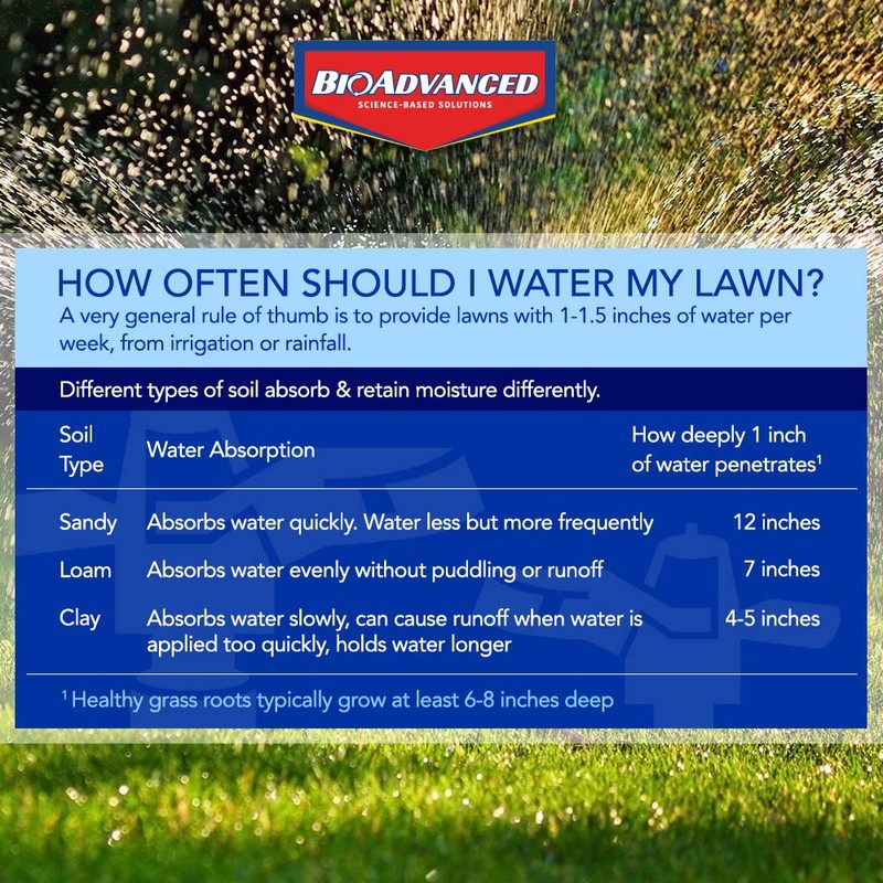 BioAdvanced Weed Killer for Lawns, Concentrate, 32oz