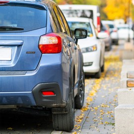 Rico Industries NASCAR Racing Standard Antique Nickel Auto Emblem for Car/Truck/SUV