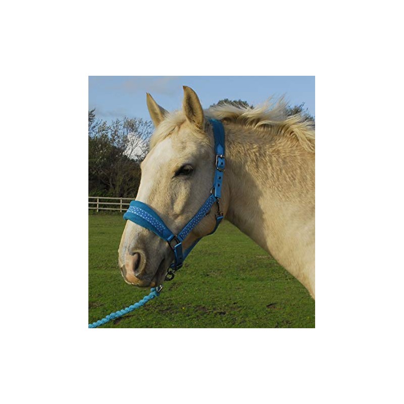 Rhinegold Star Spangled Headcollar & Rope Set,turquoise