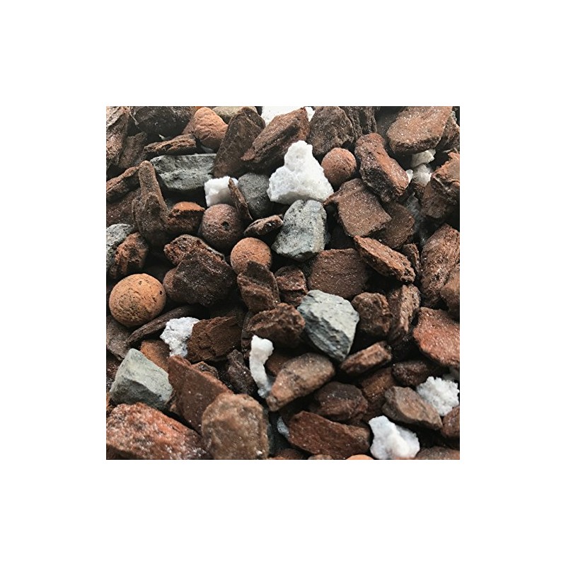 Cymbidium Imperial Orchid Mix (Standard Bag)