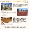 Angelbean Organic Rooibos Tea Special Extra Fine Organic JAS Biodegradable