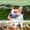 Mayerzon Dog Muzzle, Puppy Soft Mesh Muzzle for Small Medium