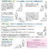 Fantasy World TDX-5SS Dog Training Disc