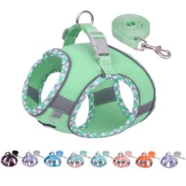 AIITLE Durable Dog Harness and Leash Set for Walking, Step in Puppy Harness, Soft Breathable Pet Supplies, Reflective Bands, for Extra Small Dogs and House Cats Sage XXXS