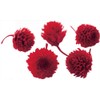 Earth Farms Preserved 千日紅 puriza-budo・heddo (30 Wheel, 50-Pack) # Red do003453 – 321 