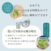 Cold Brew Tea Bag, Tea Gift, Present, Souvenir, Sencha, Gyokuro,