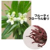 LIZLY Stick Balm, Moisturizing, Korean Cosmetics, Multi-Balm, Drying, Whitening, Wrinkles,