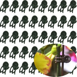 EESC2Y 40-PCs Orchid Clips for Plants Support - Dark Green, for Small - Middle Climbing Plants Vine Plants & Single Stem Plants
