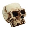Skull Head Flower Pot Resin High Strength Clear Shape Skull