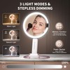 3 in 1 Travel Lighted Makeup Mirror, Rechargeable Double-Sided 10X/1X
