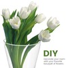 YARNOW 2pcs Clear Circular Cone Glass Wall Hanging Vase, 3.5