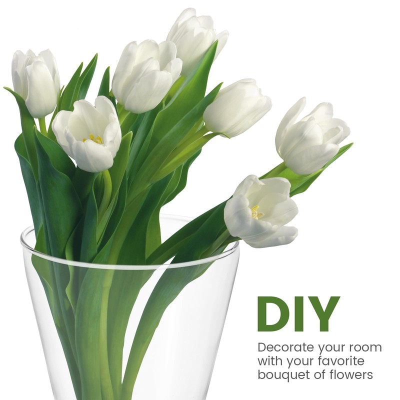 YARNOW 2pcs Clear Circular Cone Glass Wall Hanging Vase, 3.5