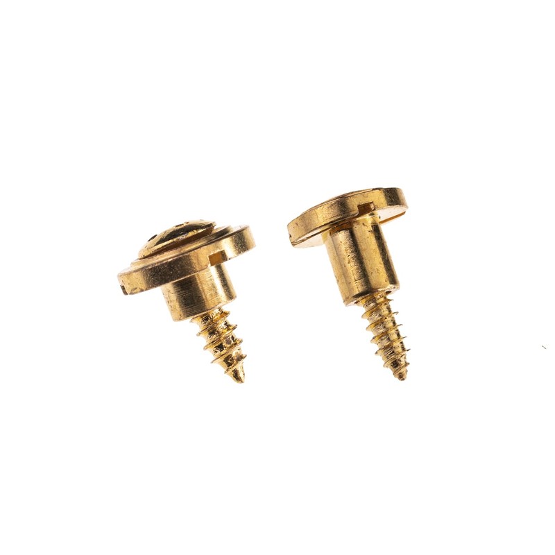 DIAO79NI 2Pcs Guitar Vintage String Tree String Guides Retainer for