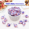 Sugar Free Starlight Mints - 1 Pound Pack (About 90