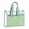 Transparent File Organizer for School & Office – Expandable PVC