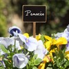 La cordeline CJNBA8 Pack of 5 Stained Wood Plant Labels