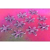 Unbranded 50 Silver Snowflake Snow Flakes Metal Winter Christmas Holiday