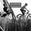 Clarks Sintered Disc Brake Pads W/Carbon for Hayes Stroker Trail