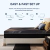 CH CHARME HOUSE Bamboo-Charcoal Twin XL Memory Foam Mattress 10