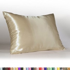 ShopBedding Luxury Satin Pillowcase for Hair – King Satin Pillowcase with Zipper, Champagne (Pillowcase Set of 2) – Blissford