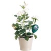 Royal Gardineer Humidity meter: Plant Soil Moisture Meter Set of