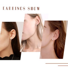 ChicSilver Cat Earrings Sterling Silver Stud Earrings for Women Small Cute Earrings for Women Hypoallergenic Animal Earrings for Women Christmas Gift