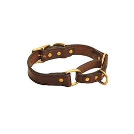 Tory Leather Martingale Collar