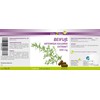 Vita2You Mugwort Extract, 180 Capsules, Artemisia Vulgaris, 10:1 Extract, 6000