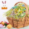 1 LB Iridescent Easter Grass Multicolor Rainbow Raffia Grass Crinkle
