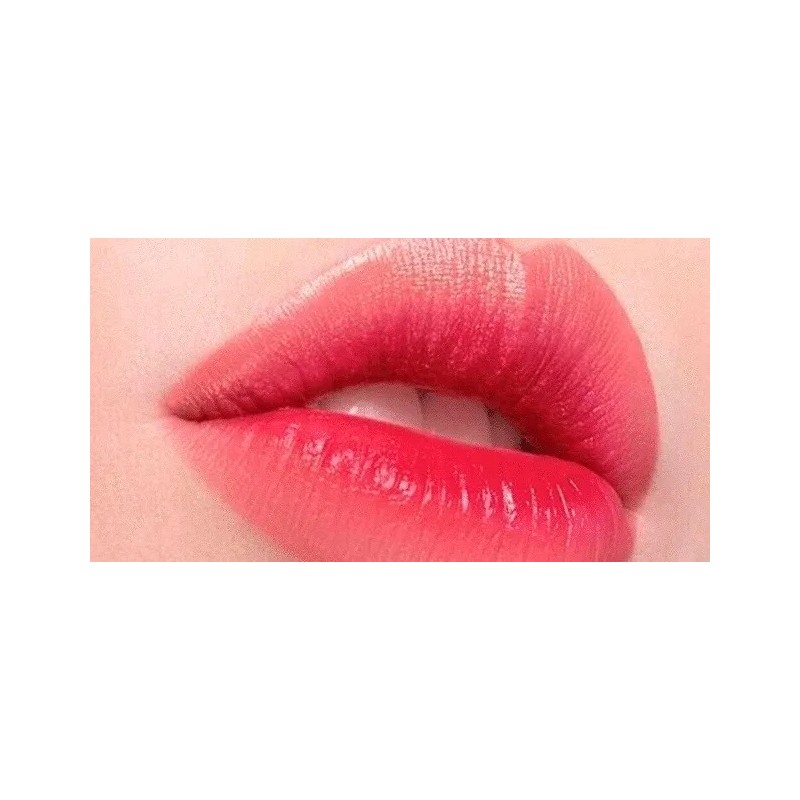 Paleta Magic Your Life 12 Tintas Labios Satinadas Larga Duración