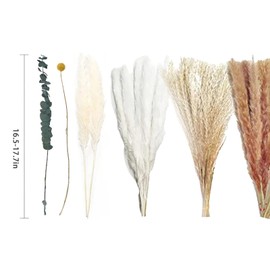 hhdatc Dried Pampas Grass Decor Boho Home Decor,Vase Fillers Home Decorvase Fillers for Home Decor Home Office Wedding Decorations