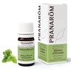 Pranarom Lemon Balm (Melissa) 0.2 fl oz (5 ml) (PRANAROM