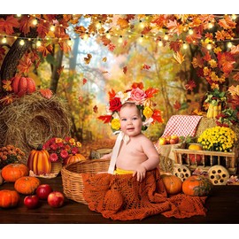 Fall Photography Backdrop Autumn Maple Leaves Pumpkin Banner Thanksgiving Friendsgiving Party Decorations Photo Booth Props (7X5FT)