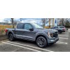 BASF Touch Up Paint for Ford vehicles w/ paint code