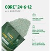 The Andersons Core 24-6-12 Professional-Grade All-Purpose Lawn Fertilizer - 18