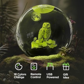 DCORIUNTG 3D Owl Crystal Ball Night Light with Remote Upgraded 3.15 in Owl Figurines Glass Ball Lamp with 16 Color Wooden LED Base Owl Snow Globes Decor Gifts for Kids Teens Women