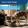 PetSafe Drinkwell Outdoor Dog Water Fountain - 2 Reservoirs -
