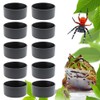 10 Pcs Small Reptile Water Bowl Food Dish Feeding Bowl