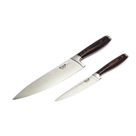 Damascus Kitchen Knife Set, 8" Chef Knife and 5" Paring Knife, Crafted from 67 Layers of Stainless Steel, Ergonomic Design, Stylish, Gift Boxed