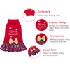 CuteBone DS53XS-DE Christmas Dog Sweater Dress Turtleneck Puppy Jumper with